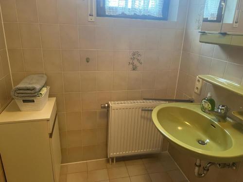 La salle de bains est pourvue d'un lavabo vert et d'un radiateur. dans l'établissement LUNA, à Bad Säckingen