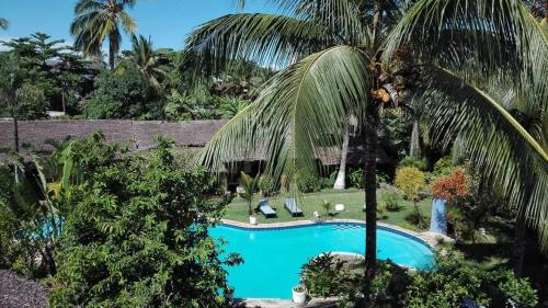 an overhead view of a swimming pool with a palm tree at Madiro hôtel in Nosy Be