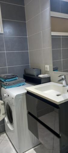 une salle de bain avec une machine à laver et un lavabo dans l'établissement A l instant présent, à Brison-Saint-Innocent