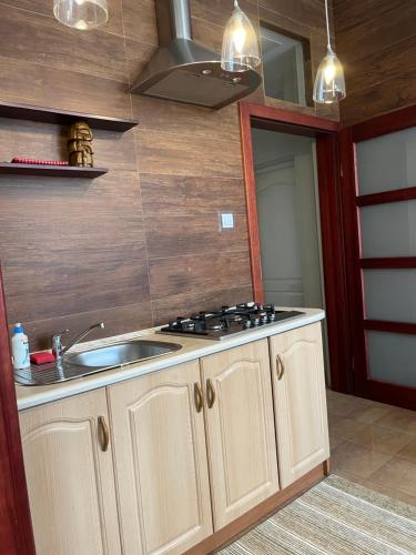 a kitchen with a sink and a stove at APARTAMENT SPALSKIE KLIMATY in Spała