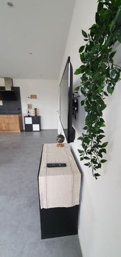 Μια τηλεόραση ή/και κέντρο ψυχαγωγίας στο Ferienhaus Moselnest -Brauneberg - freistehend - klimatisiert