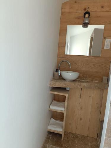 une salle de bain avec un lavabo et un miroir dans l'établissement Studio mezzanine, jardin et jacuzzi, à Lorgues