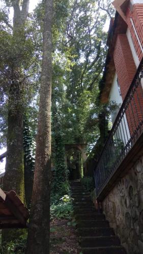 Κήπος έξω από το Cabaña de bosque con alberca