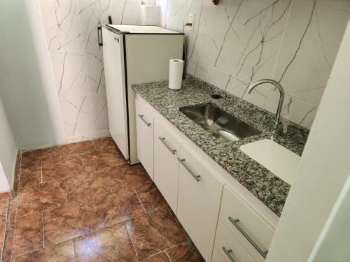 薩帕拉的住宿－DEPARTAMENTO CENTRO，厨房配有水槽和冰箱