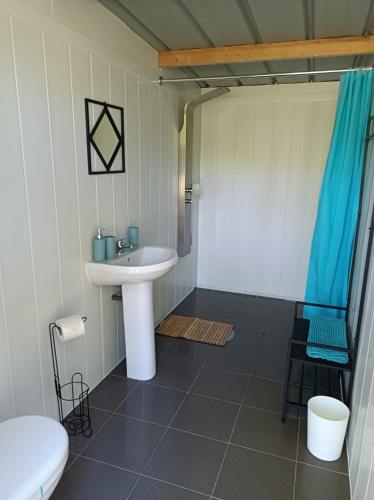 une salle de bain avec un lavabo, des toilettes et une douche dans l'établissement Camping sous les belles etoiles, à Peyrilhac