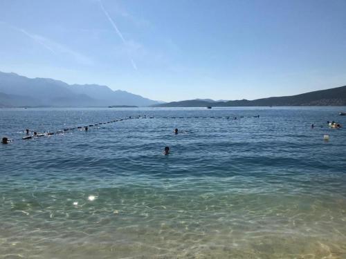 a group of people swimming in a large body of water at Family House with pool & sea view in Bijela