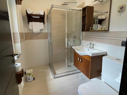 La salle de bains est pourvue d'une douche et d'un lavabo. dans l'établissement BUJTINA Valbonë, à Valbonë