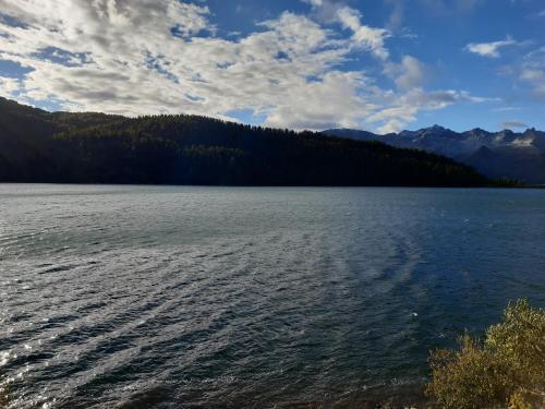 a large body of water with trees in the background at RISTORO TANEDA in Quinto