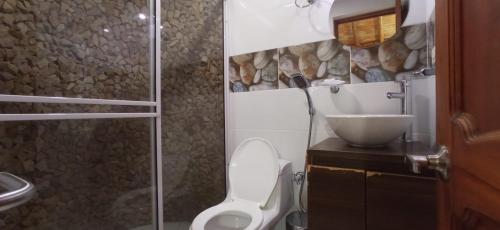 a bathroom with a toilet and a sink at Finca Santaleja in La Tebaida