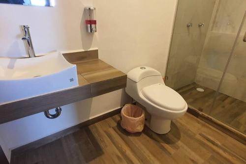 a bathroom with a toilet and a sink and a shower at Departamento a 5 minutos de la playa!! in Mazatlán
