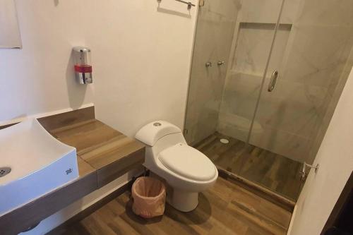 a bathroom with a toilet and a sink and a shower at Departamento a 5 minutos de la playa!! in Mazatlán