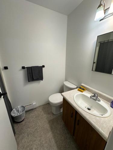 a bathroom with a white toilet and a sink at Cozy Beach 2 bedroom apartment in Invermere