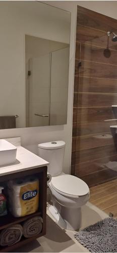 a bathroom with a toilet and a sink and a shower at Amazing 2 bedroom condo in Golden Zone steps away from the ocean in Bucerías