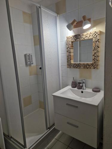 une salle de bain avec une douche, un lavabo et un miroir dans l'établissement Les Sablettes,Soleil et douceur I, à La Seyne-sur-Mer