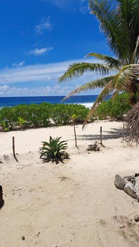 a sandy beach with a palm tree and the ocean at Mahana Tua Lodge Huahine in Puahua