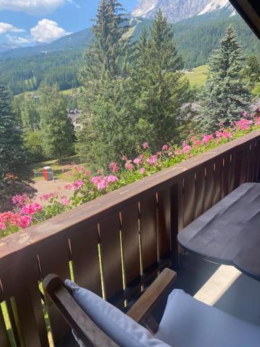 balkon z ławką, różowymi kwiatami i górami w obiekcie Attico con vista sulle Tofane w mieście Maion