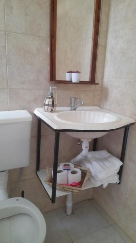 een badkamer met een wastafel en een toilet bij Hospedaje Luna in Chajarí