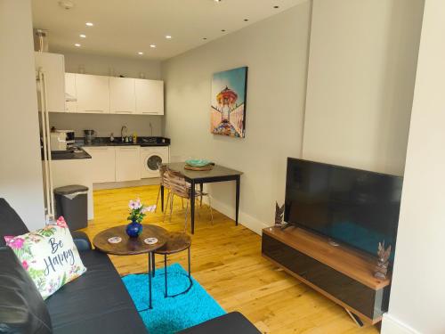 een woonkamer met een bank en een grote televisie bij Modern Central Brighton patio flat - free parking! in Brighton & Hove