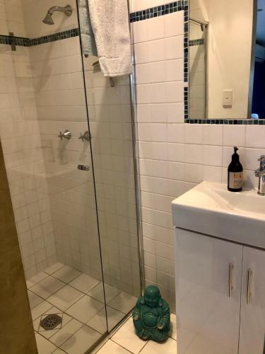 a bathroom with a shower with a green toy on the floor at Beach Bliss - Private Suite, Tropical Tranquility, 3 mins walk to beach in Suffolk Park