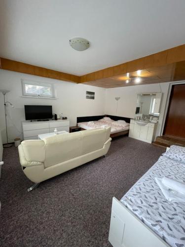 TV a/nebo společenská místnost v ubytování Apartmány Luhačovice