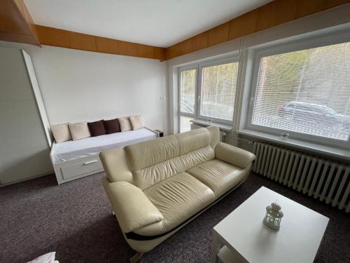 uma sala de estar com um sofá e uma cama em Apartmány Luhačovice em Luhačovice