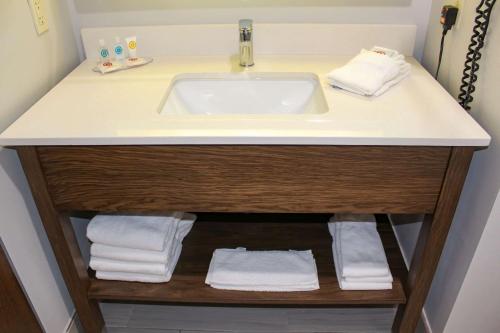 a bathroom with a sink and towels on a shelf at Comfort Inn and Suites Near Lake Guntersville in Scottsboro
