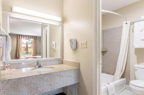 a bathroom with a sink and a mirror and a toilet at Econo Lodge Pocomoke City Hwy 13 in Pocomoke City
