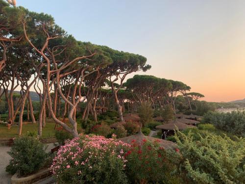 a garden with trees and flowers in the sunset at Cala dei Pirati in Punta Ala
