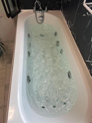 a bath tub filled with water with turtles in it at Japandi themed London Apartment in Thornton Heath