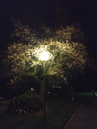 Villa Campana free private parking photo 48