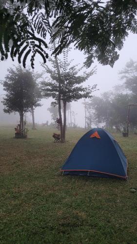 une tente bleue assise sur l'herbe dans un champ dans l'établissement Porto das Nuvens, à Viçosa do Ceará