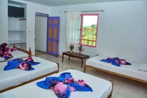um quarto com três camas e uma janela em Finca villa Valentina em Montenegro