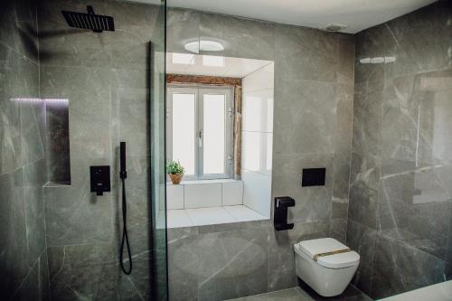 uma casa de banho com um chuveiro, um WC e uma janela. em Quinta Dos Avós Lourenço na Sertã