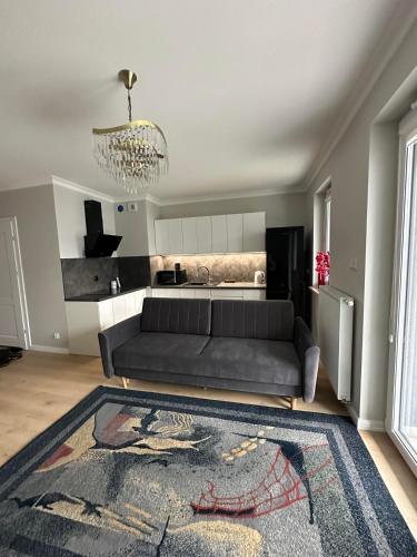 sala de estar con sofá y alfombra en Apartament Różana, en Lublin