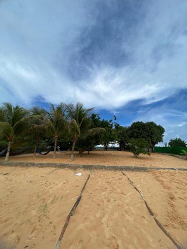 Baixa Grande的住宿－Chalé flores do Velho Chico，棕榈树和云天的沙滩