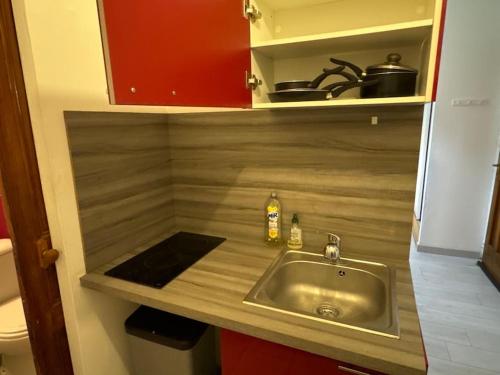 un comptoir de cuisine avec un évier dans une cuisine dans l'établissement Oasis, à Besançon