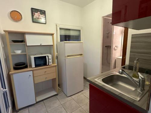 La cuisine est équipée d'un évier, d'un réfrigérateur et d'un four micro-ondes. dans l'établissement Oasis, à Besançon