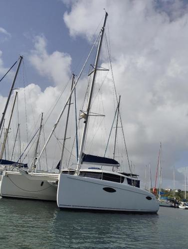 a white boat is docked in the water at catamaran in Les Trois-Îlets