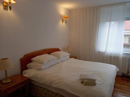 Apartments with WiFi Zagreb - 22385