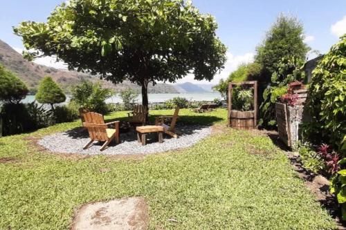 un jardin avec un banc et un arbre dans l'établissement Jardín Paraíso, à Amatitlán