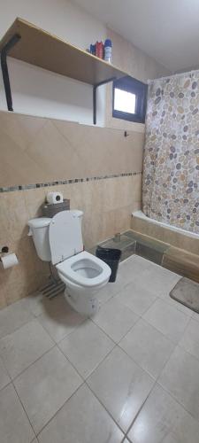 a bathroom with a toilet and a window at Casona Los Coihues in Tolhuin