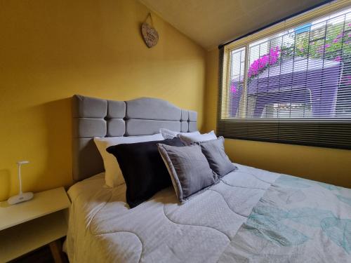a bedroom with a large bed with pillows and a window at Casa Dohko in Bogotá