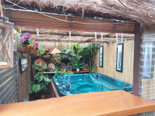 a swimming pool in the middle of a building at Riverside Accommodation in Karangahake