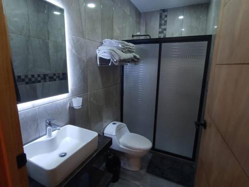 a bathroom with a sink and a toilet and a mirror at Máster Suite Departamento cerca de Isla San Marcos in Aguascalientes