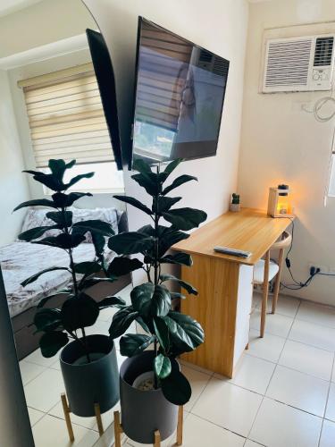 馬尼拉的住宿－Urban Deca Tower EDSA，一间卧室配有书桌和盆栽植物