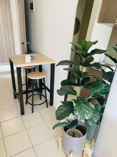 a plant in a room with a table and a stool at Urban Deca Tower EDSA in Manila