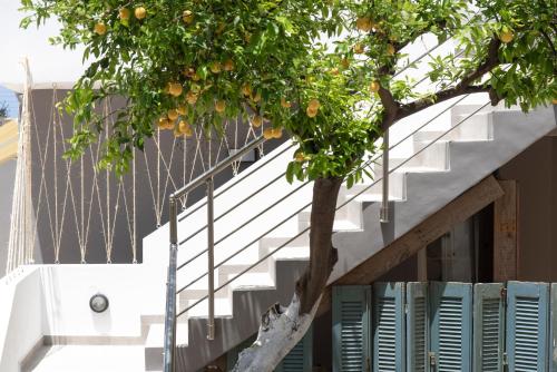 an orange tree in front of a building with stairs at Chania Design Suites in Chania Town