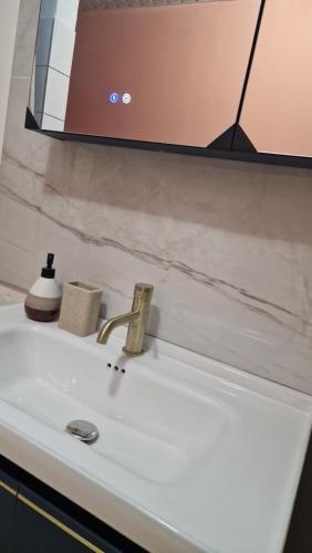 lavabo blanco con espejo encima en Prestige Spa Cayenne T2 en Cayenne