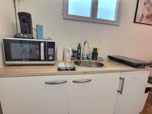 a microwave sitting on a counter next to a sink at Road Stop Studio *Paris*Disney*Gare* in Chelles