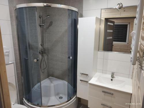 een badkamer met een douche en een wastafel bij Holiday homes with swimming pool and jacuzzi Rewal in Rewal